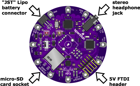 Lilypad Mp3 Player Connectors - Lily Pad Anatomy (500x305), Png Download