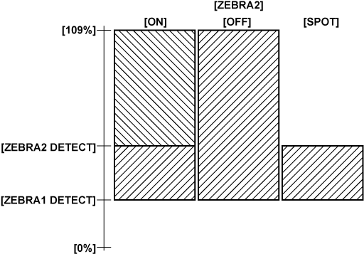 Co Other Zebra - Diagram (710x362), Png Download