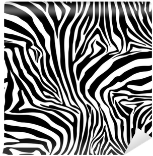 Featured image of post Zebra Images Hd Png : ✓ free for commercial use ✓ high quality images.