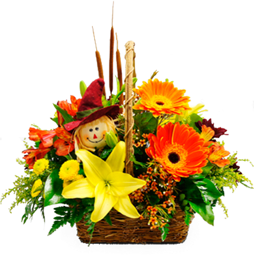 Whimsical Fall - Covington (600x600), Png Download