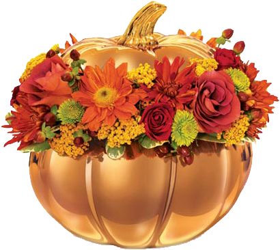 Assorted Fall Flowers Svg Cut Files Flower Scal Files - Pandora Insurance (426x391), Png Download