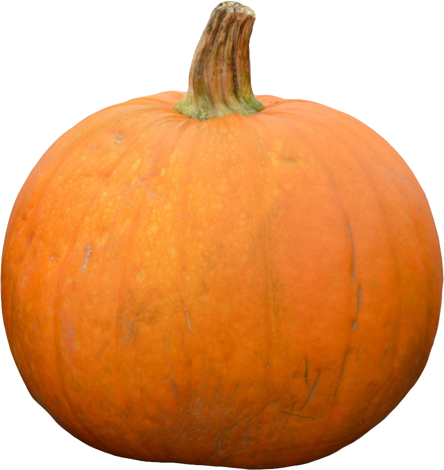 Pumpkin Png Image1 - Pumpkin (986x1020), Png Download