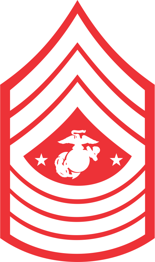E-9 Sergeant Major Of The Marine Corps - Sergeant Major Usmc Rank (507x859), Png Download