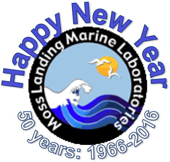 Com Happy New Year 2015 By Beautifulsunny On Deviantart - Moss Landing Marine Laboratories (585x559), Png Download