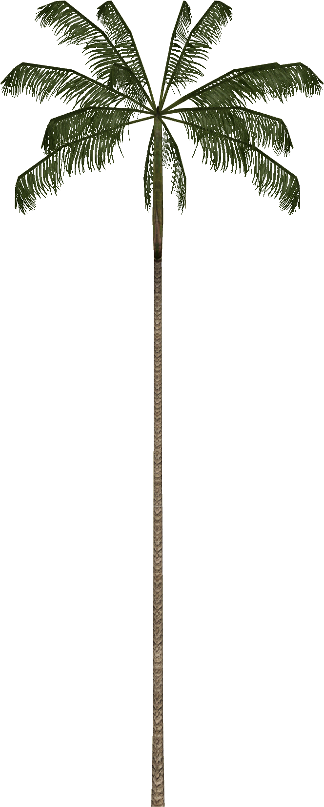 Açaí Palm - August 29 (1653x1653), Png Download