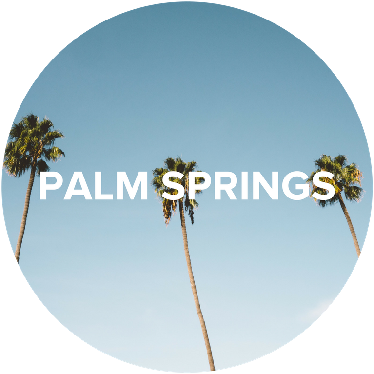 Palm Springs (800x800), Png Download