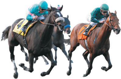 Horse Racing Png Transparent (400x400), Png Download