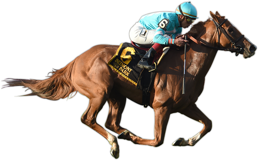 Uni Wins The G2 Sands Point Stakes - Ride A Horse Png (900x550), Png Download