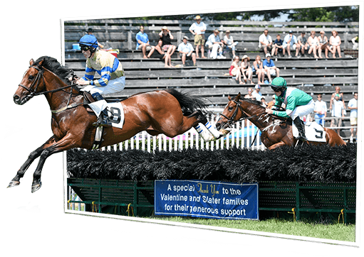Out Of Bounds Fair Hill Horse Racing - Best Out Of Bounds (600x488), Png Download