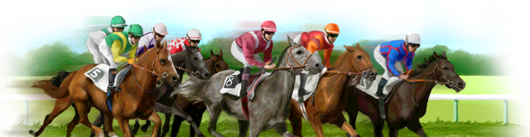 Owner, Trainer, Jockey, Breeder, Racecourse Manager, - Carrera De Caballos Png (759x197), Png Download