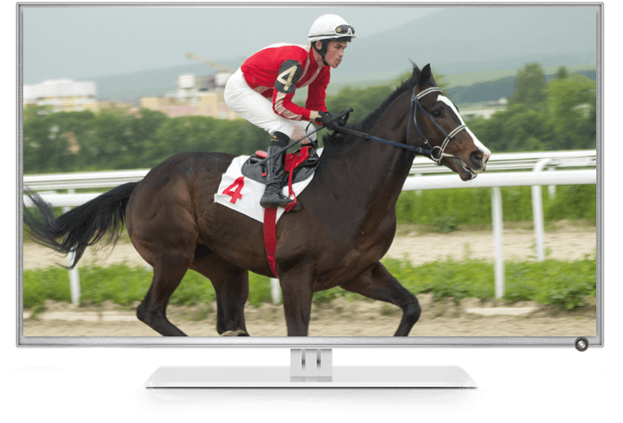 The Thrill Of Dish - Stallion (829x560), Png Download