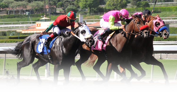 Horses - Hipodromo Santa Anita (750x429), Png Download