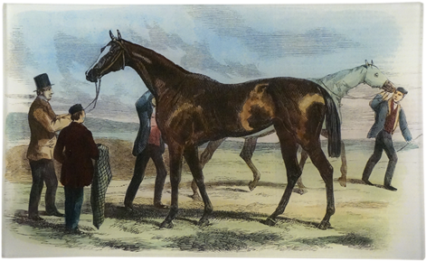 Governess - Print 1858 Horse Fitzroland Governess Thousand Stakes (500x500), Png Download