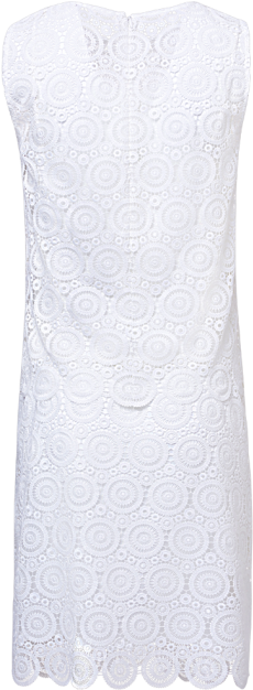 Lace Dress - Day Dress (509x677), Png Download