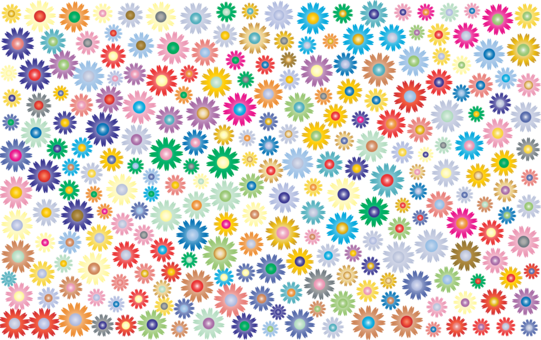 Paper Partition Wall Textile Flower - Have A Colourful Weekend (541x340), Png Download