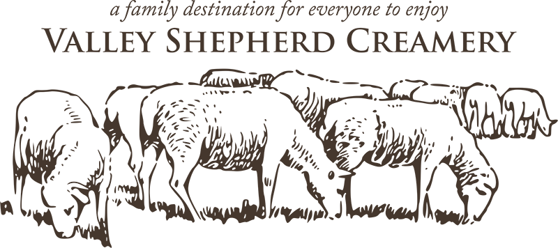 No, We Have No Shepherds In The Family What We Do Now - La Violence De L'humanisme (800x356), Png Download