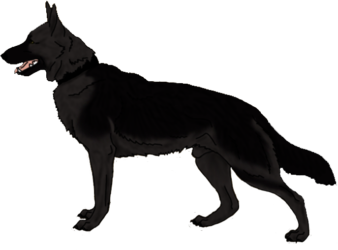 Large German Shepherd Transparent Png - Clipart Angry Dogs Png (784x550), Png Download