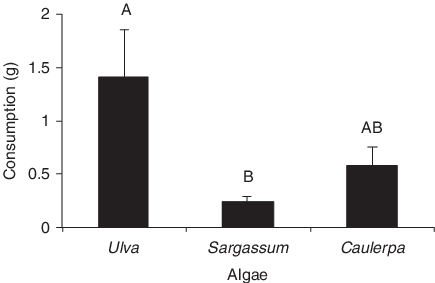 Number Of Bite Marks Against The Number Of Crinodus - Common Fig (435x283), Png Download