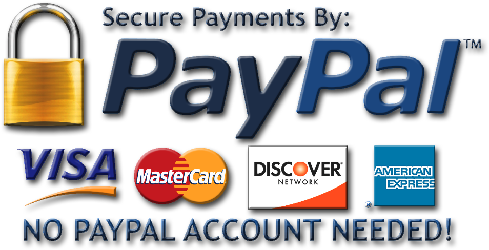 Secure Paypal Logo Png - Polymer Clay Dragon Necklace Pendant - Cute Miniature (1152x576), Png Download
