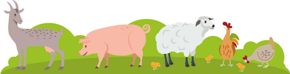 Staunton Farm Animals - Staunton Country Park Jobs Cafe (1000x257), Png Download