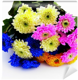 Barberton Daisy (400x400), Png Download