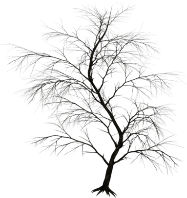 American Horror Story - กราฟ ฟิ ค กรอบ (402x454), Png Download