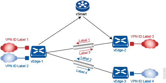 It Is Important To Point Out That The Transport Network - Portable Network Graphics (556x289), Png Download