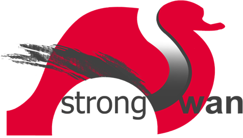 In - Strongswan Ubuntu (500x285), Png Download