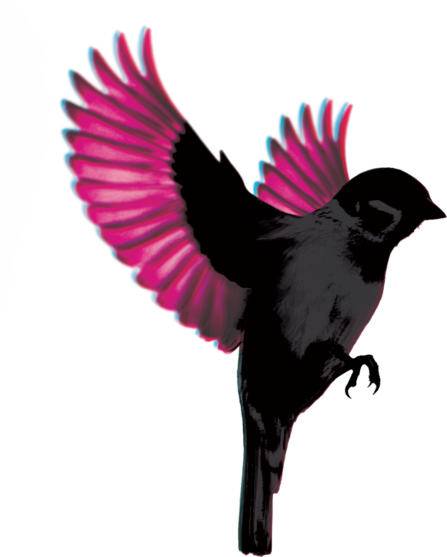 New Dates Announced - Jump Little Children Sparrow (1000x1142), Png Download