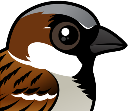 About The House Sparrow - Haus-spatz Grußkarte (440x440), Png Download
