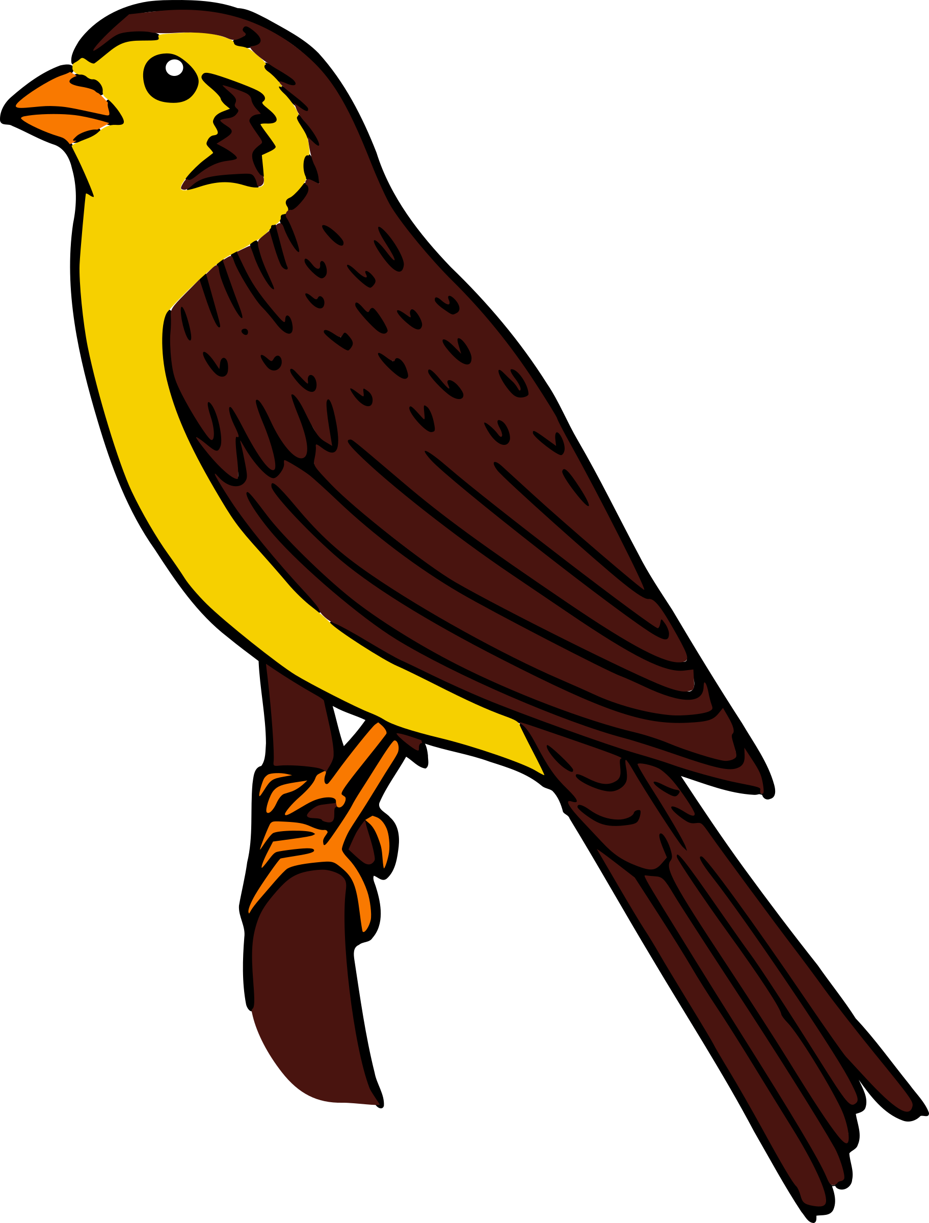 Big Image - Clip Of Art Sparrow Hawk Png (1823x2400), Png Download