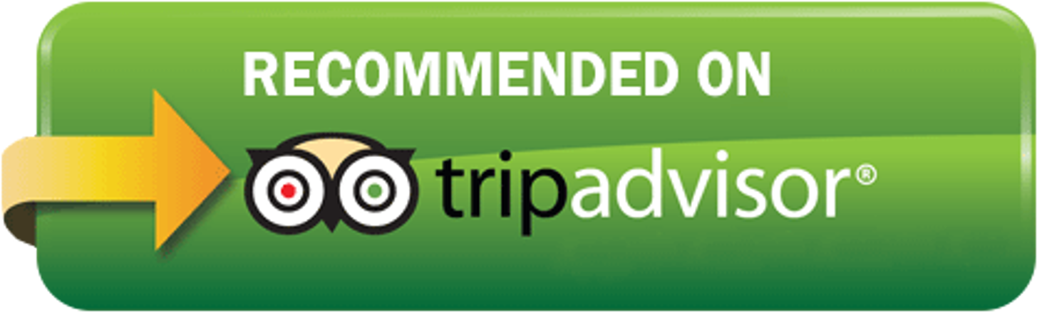 Tripadvisor-logo - Rate Us On Tripadvisor (1500x490), Png Download