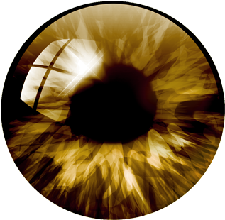 Eye Pupil Png Pic - Gold Black Evil Eyes Necklace Dome Pendant Cabochon (600x500), Png Download