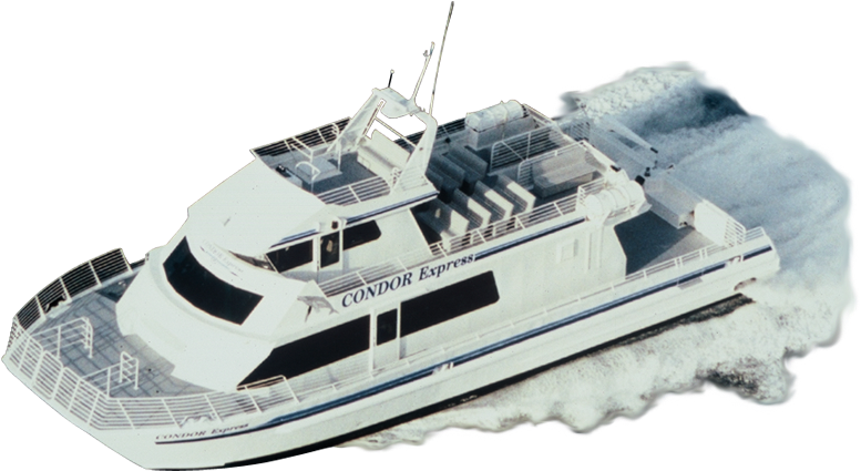 Whale Watching California, Santa Barbara Condor Express - Condor Express Whale Watching Coupons (786x442), Png Download