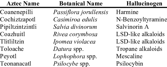 Some Hallucinogenic Plants Of Mesoamerica Used By The - Devyani (703x282), Png Download