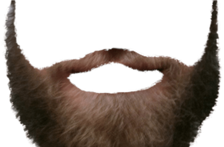 Beard Transparent Png Pictures Free Icons And Png - Portable Network Graphics (800x491), Png Download