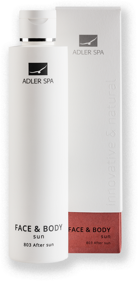 Product Properties - Bottle (828x828), Png Download