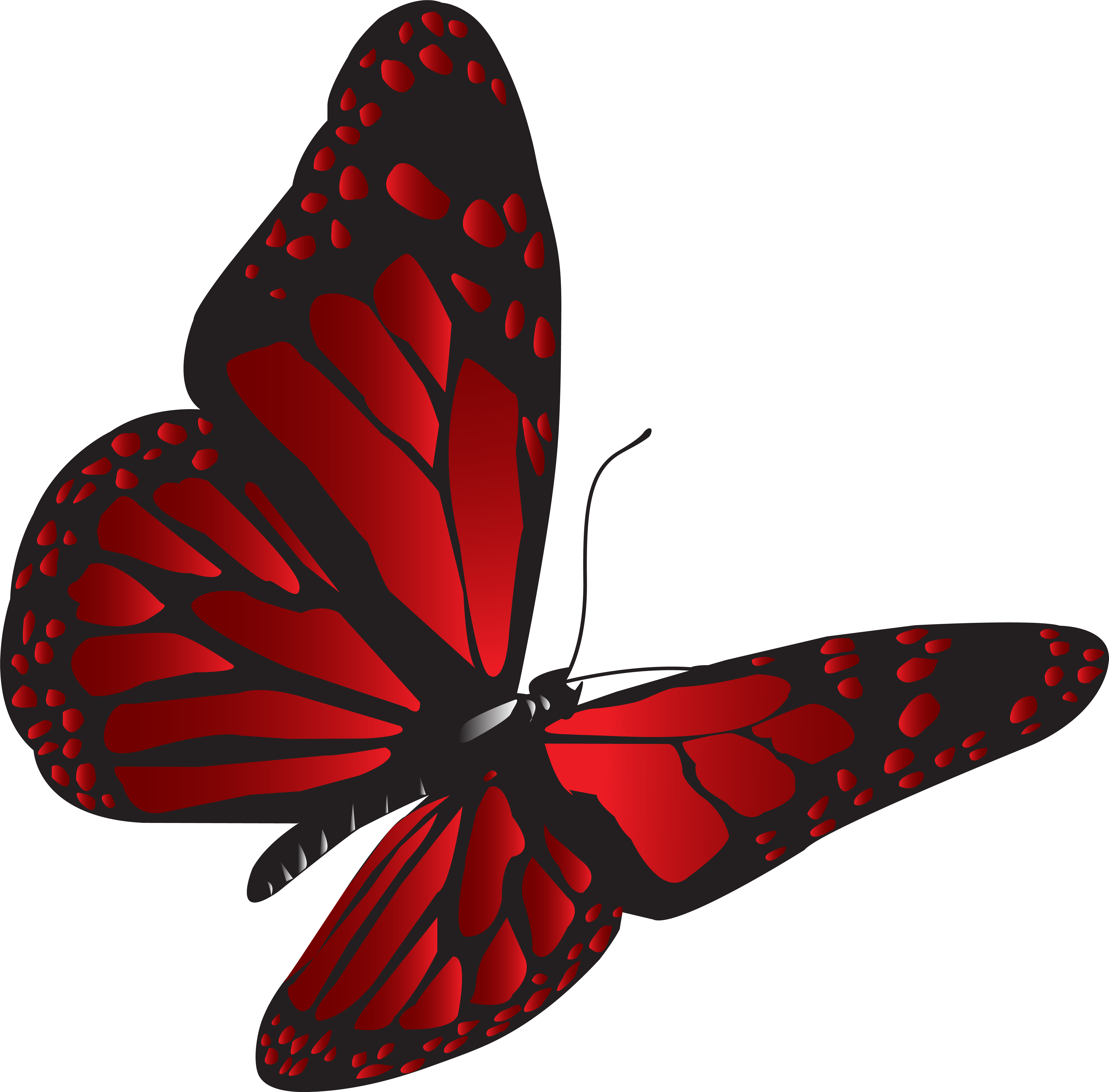 Прозрачном фоне формата png. Красная бабочка. Красивые бабочки на прозрачном фоне. Бабочки на белом фоне. Бабочка без фона.