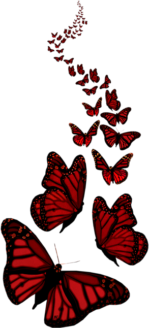 Bleed Area May Not Be Visible - Transparent Background Blue Morpho Butterfly (370x700), Png Download