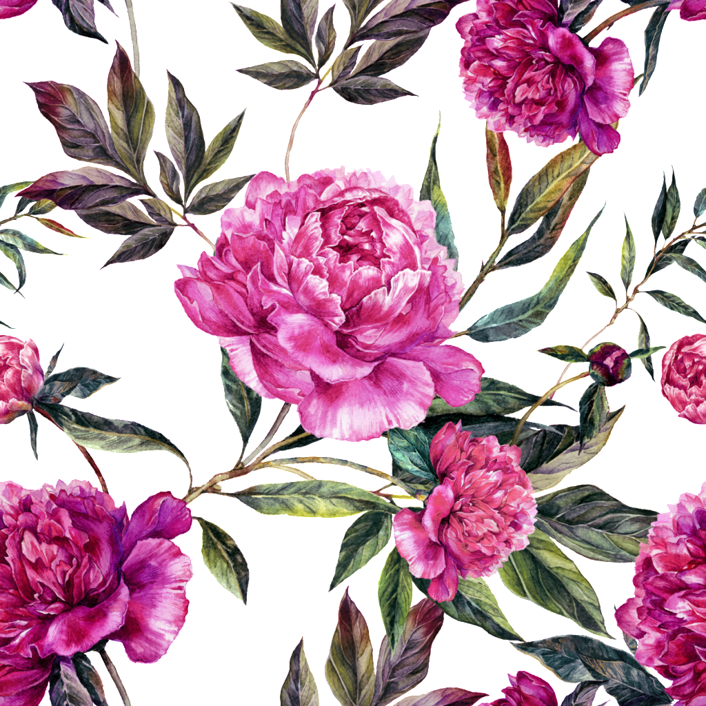 This Backgrounds Is Peony Vector About Background,advertising - Invasions Of The Heart By Genara Necos (1024x1024), Png Download