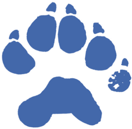 Daily Bell Times - Wolverine Paw Print (511x501), Png Download