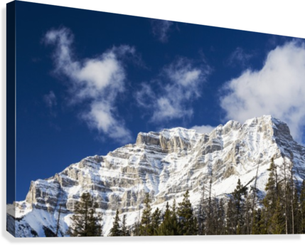 Snow Covered Mountain Peak With Evergreen Trees With - Posterazzi Snow Covered Mountain Peak With Evergreen (429x344), Png Download