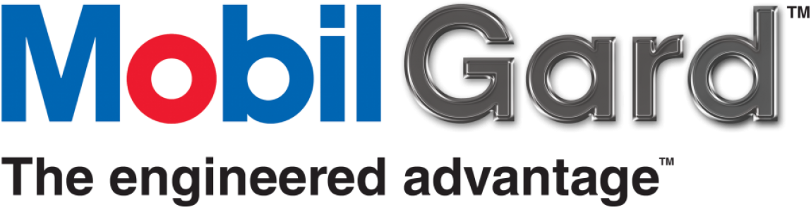 Keeping A Close Eye On Cylinder Condition Has Never - Mobil Producing Nigeria Logo (1200x327), Png Download