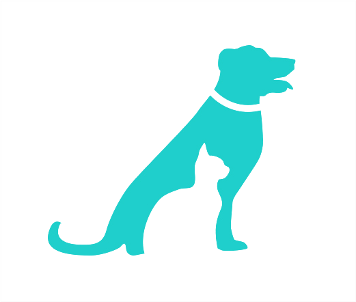 Pet Insurance Png (520x520), Png Download