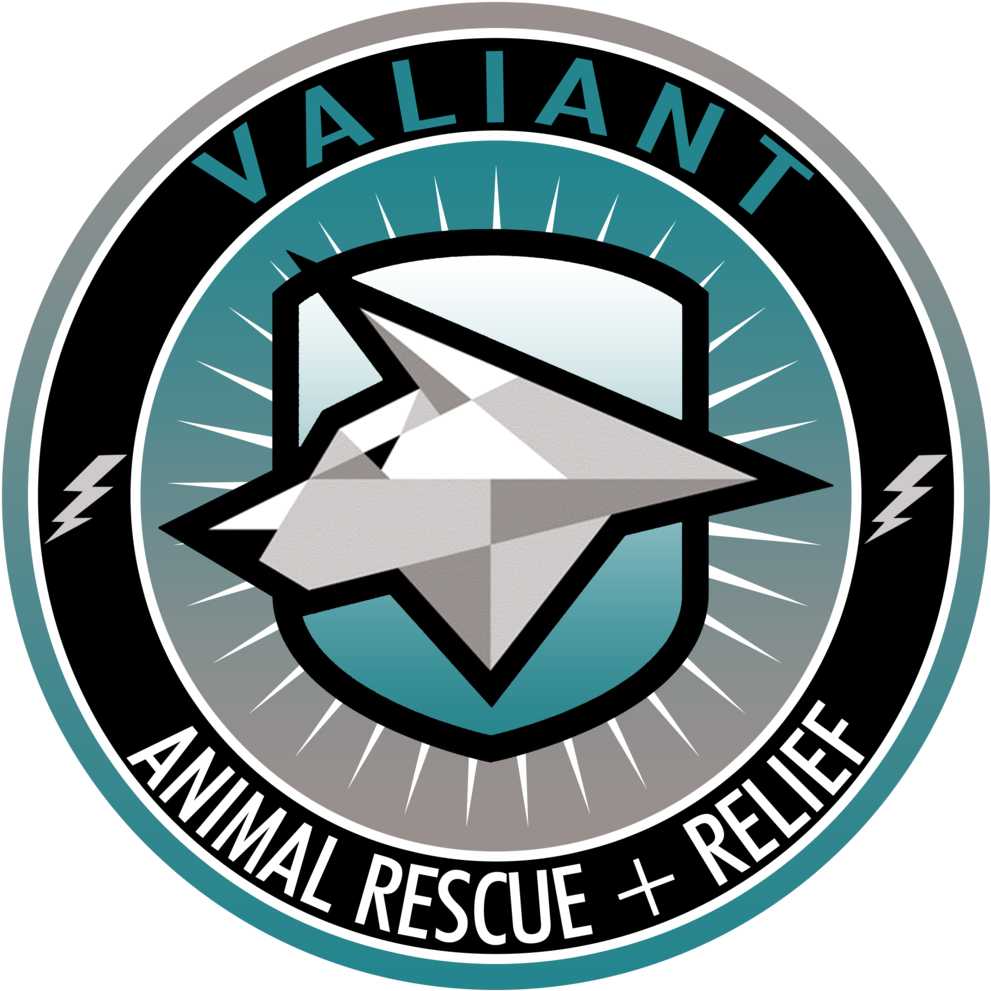 Varr Animalrescue Smlogo Lamar Copy - The Search For Santa Paws (750x750), Png Download