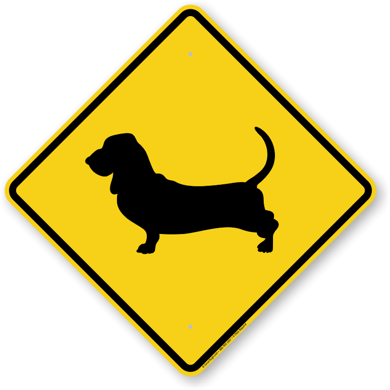 Basset Hound Symbol Guard Dog Sign - Basset Hound (800x800), Png Download