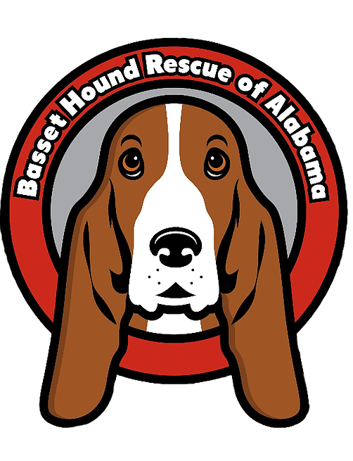 Basset Hounds (502x655), Png Download