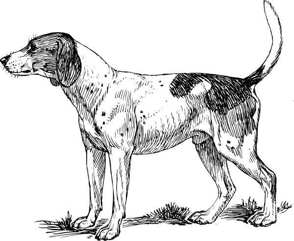 How To Set Use Hound Dog Svg Vector (600x493), Png Download