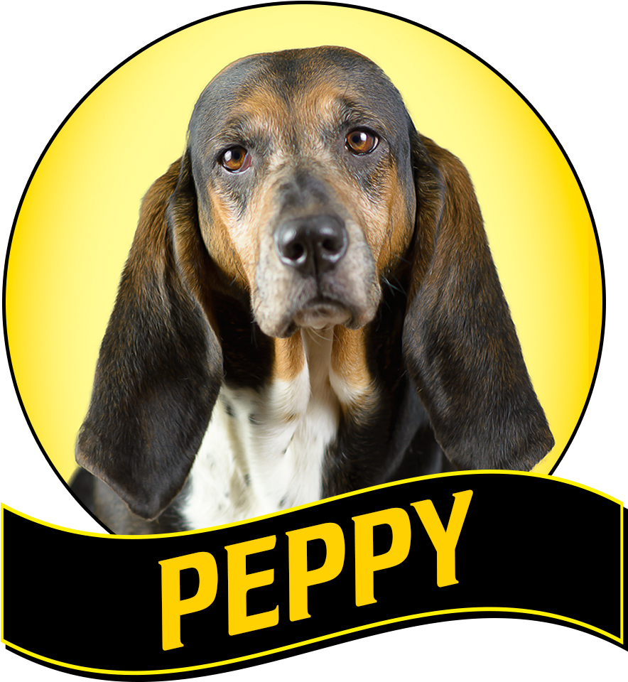 Peppy (1000x1009), Png Download