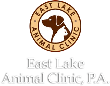 East Lake Animal Clinic - Cornell University Seal (500x314), Png Download